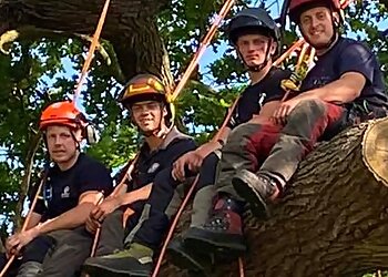 Optimum Tree Services