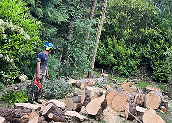 Optimum Tree Services