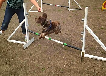 Oakwood Canine Services