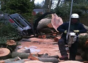 Oakwood Tree Services