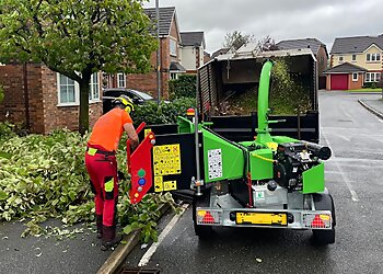 Oakwood Tree Services Ltd