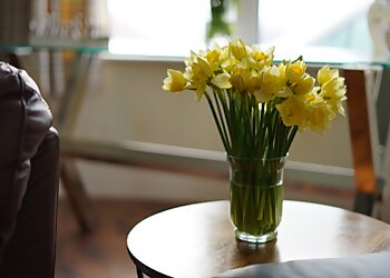 Ocean Recovery Centre