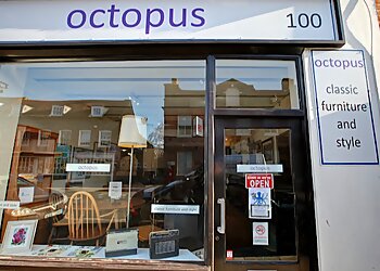 Newbury furniture shops Octopus image 1