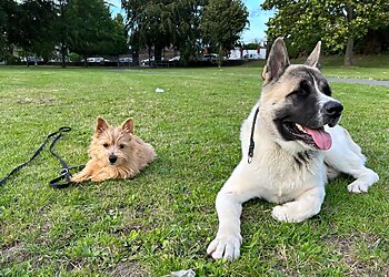 Off Leash K9 Training