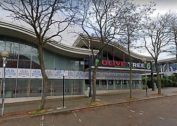 Olive Tree Turkish Mediterranean Restaurant & Bar