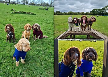 On All Paws Pet Services