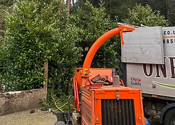 One 2 Tree Surgery Ltd.