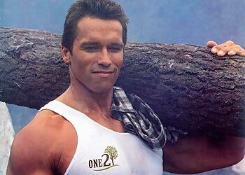 One 2 Tree Surgery Ltd.