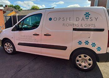 Oopsie Daisy Flowers