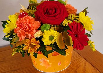 Oopsie Daisy Flowers