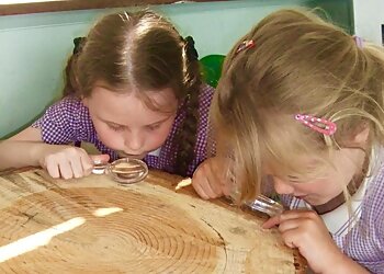 Outwood Primary Academy Greystone