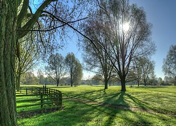 3 Best Parks in Milton Keynes, UK - Expert Recommendations