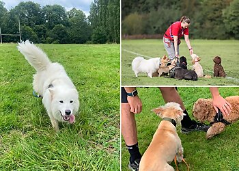 Ozzie's Fur-Ever Friends