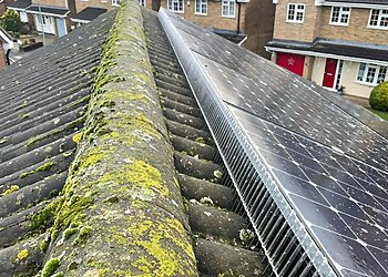 P88 Pest Control Ltd