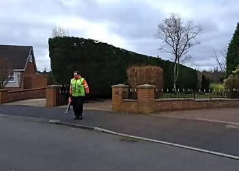 P Foley Tree Specialist