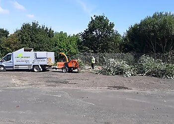 P Foley Tree Specialist