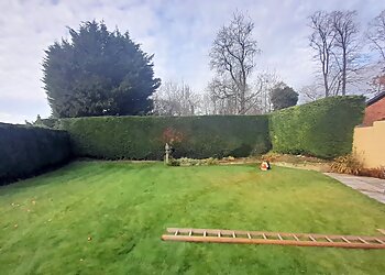 P.H.D Gardening Services