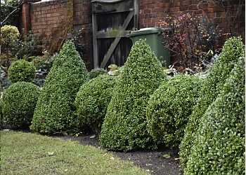 P K Grounds Maintenance