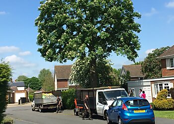 P Kernan Tree Surgery Ltd