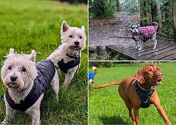 Pad Foot and Paws Ltd.