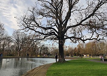 Paddy Freeman's Park