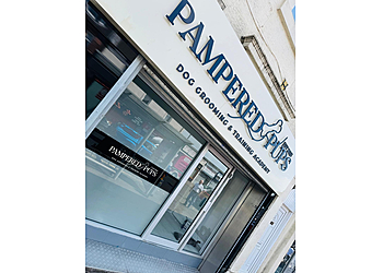 Pampered Pups Pampered Pups