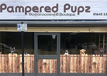 Stockton On Tees pet grooming Pampered Pupz image 1