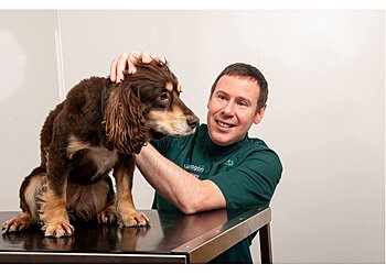 3 Best Vets in Carlisle, UK - Expert Recommendations