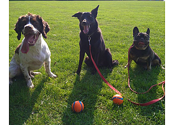 Paramount Dog Training UK