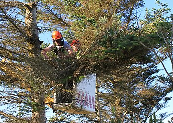 Parish Environmental Services