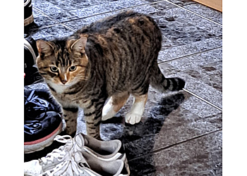 Parkside Veterinary Group