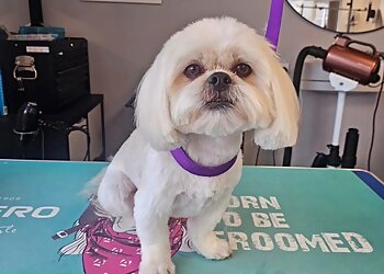 Parkview Dog Grooming