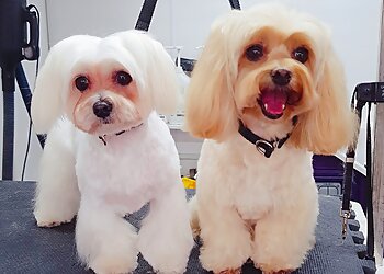 Passion Grooming Limited