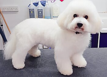 Passion Grooming Limited