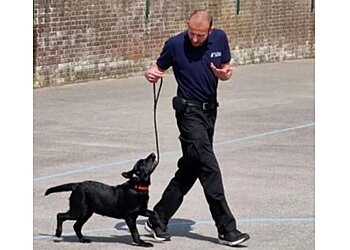 Paul Haylock Dog Training