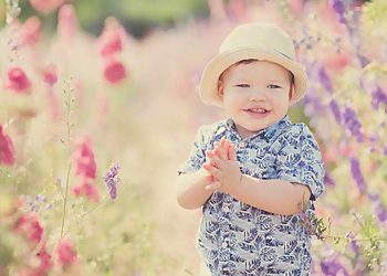 Paul Willetts Photography