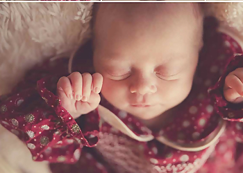 Paul Willetts Photography