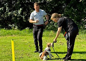 Paul's Dynamic Dogs Ltd