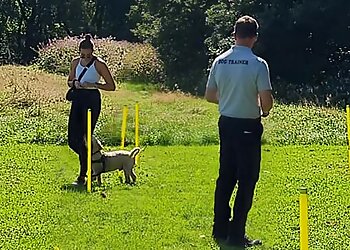 Paul's Dynamic Dogs Ltd