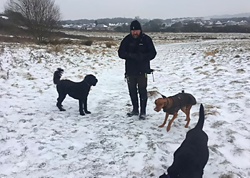 Paw-Fit Pet Services