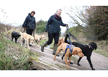 Paw-Fit Pet Services Paw-Fit Pet Services