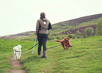 Tameside dog walkers Paw Guardian image 1