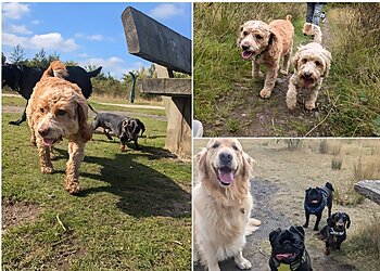 Paw Legged Friends Dog Walking and Pet Sitting Wakefield