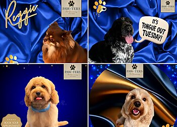 Paw-Ters Pet Grooming