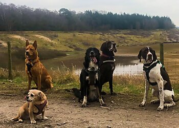 Paws & Claws Cheshire