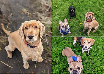 Paws & Claws Cheshire