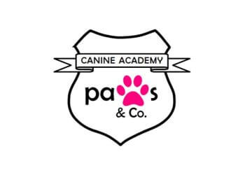 Paws & Co. Canine Academy