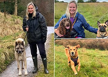 Paws For Walks Harrogate