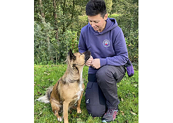 Paws & Minds Paws & Minds