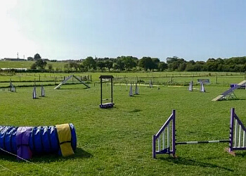 Pawsability Dog Training